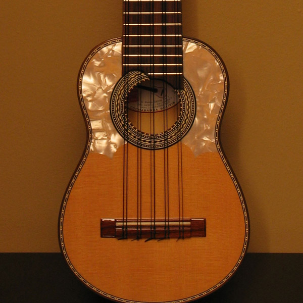 Charango Lessons in  Music School