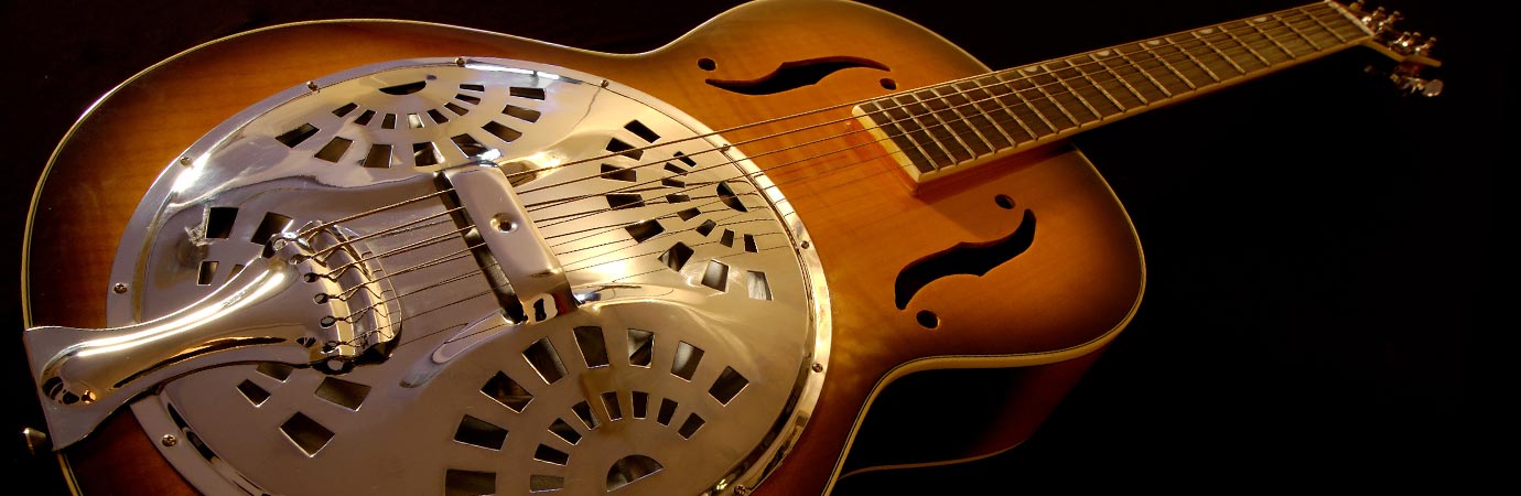 Dobro Lessons in our Music School