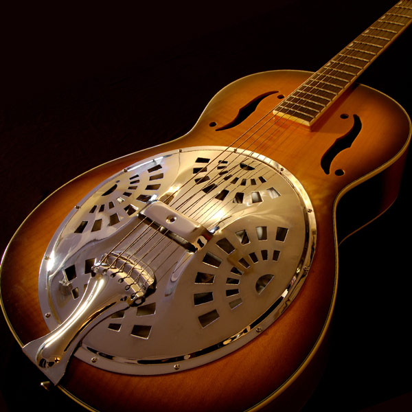Dobro Lessons in  Music School