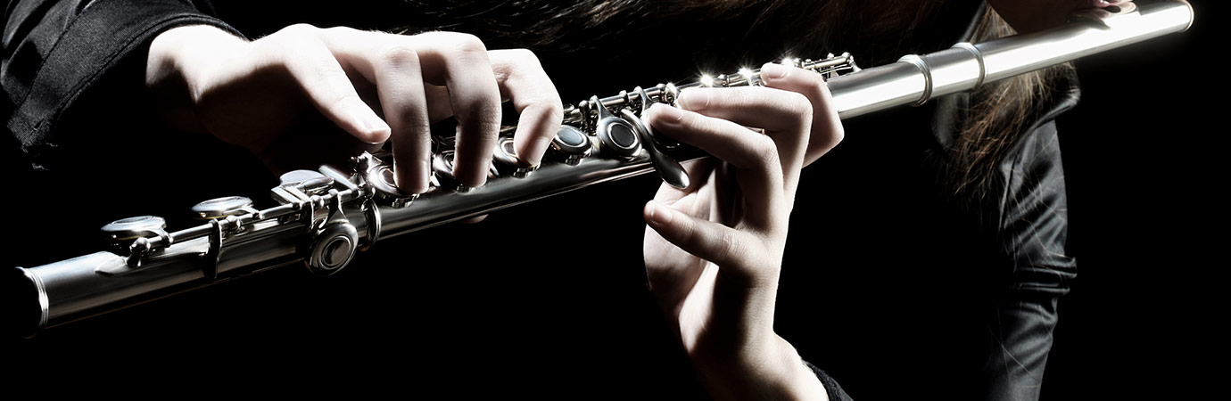 Flute (transverse) Lessons Online
