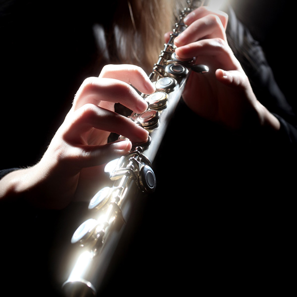 Flute (transverse) Lessons Online
