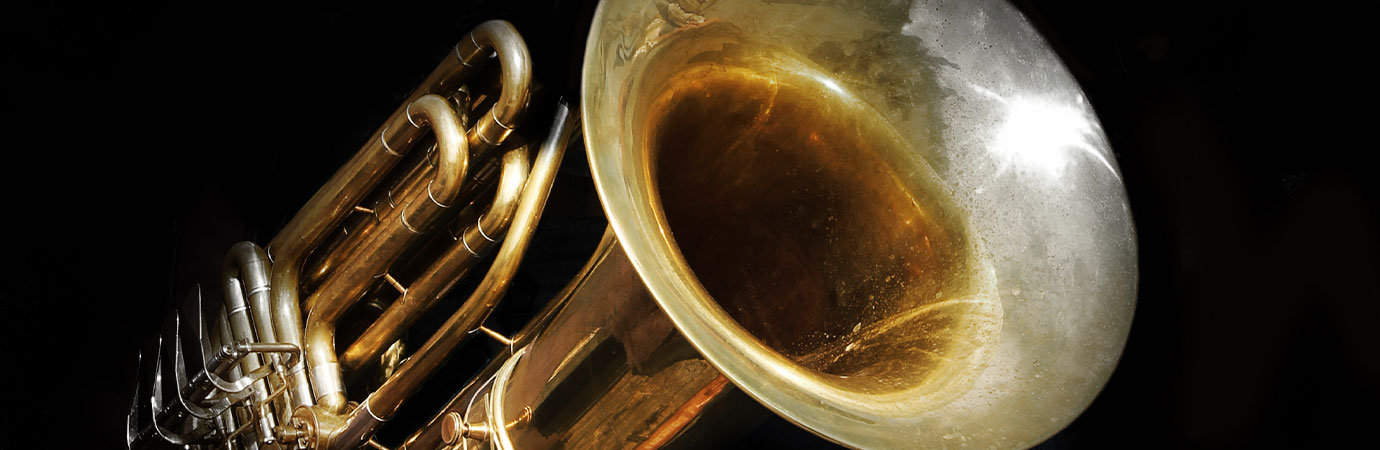 Tuba Lessons Online