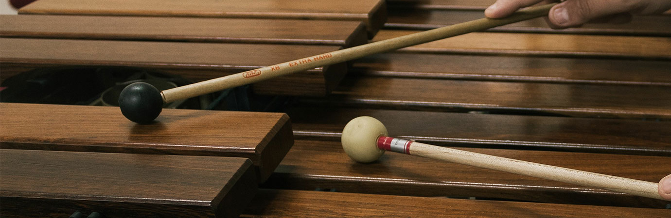 Xylophone Lessons in our Music School