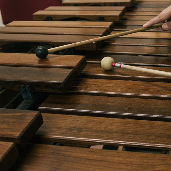 Xylophone Lessons in  Music School