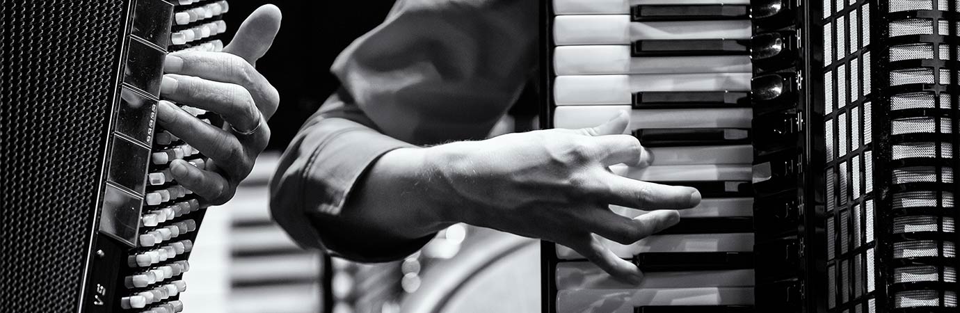 Accordion Lessons Online