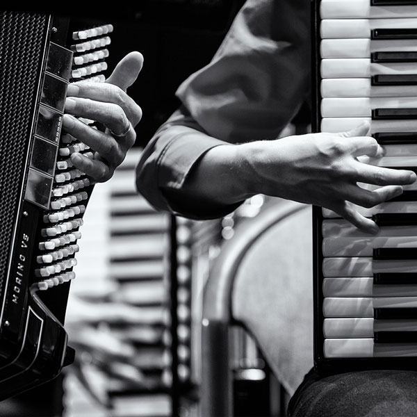 Accordion Lessons Online