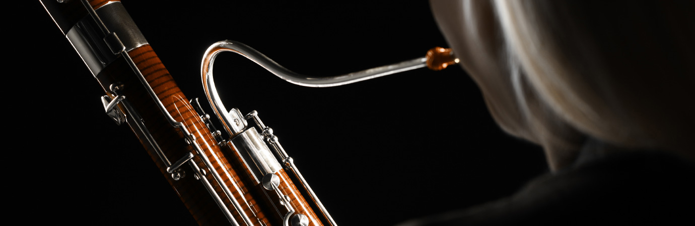 Bassoon Lessons Online