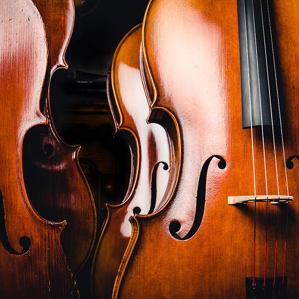 Cello Lessons in  Music School