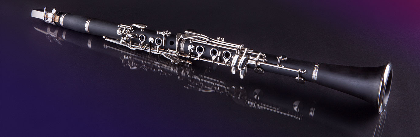 Clarinet Lessons in our Music School