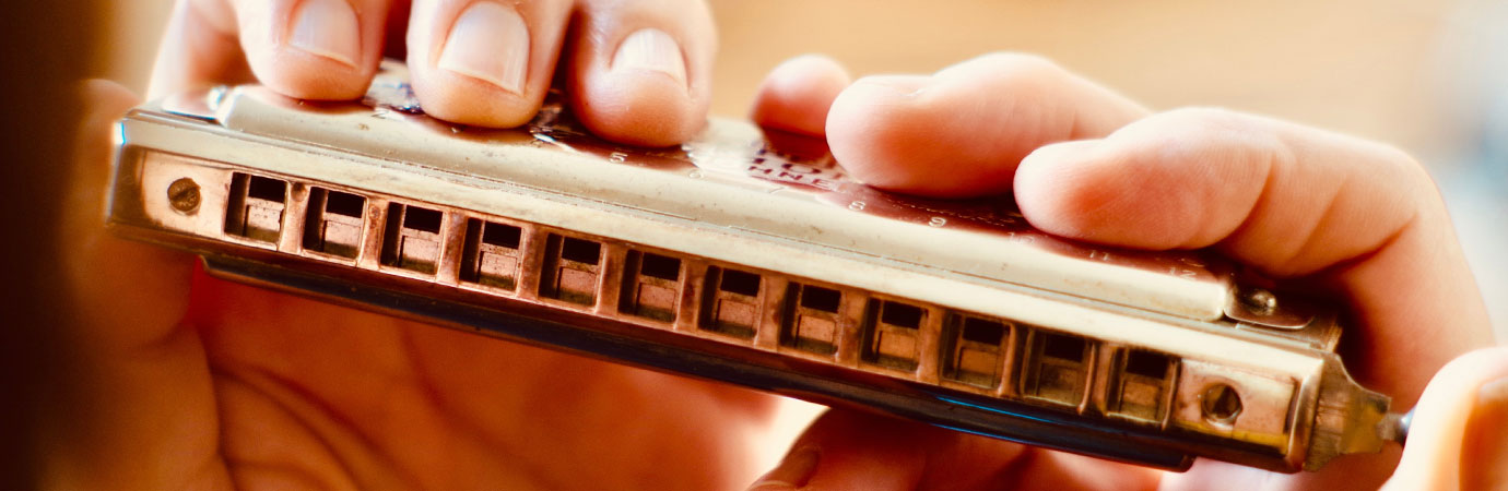 Harmonica Lessons in our Music School