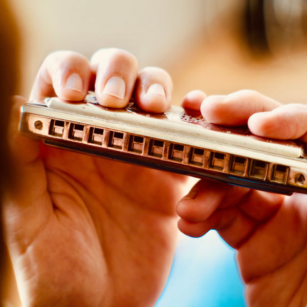 Harmonica Lessons in  Music School