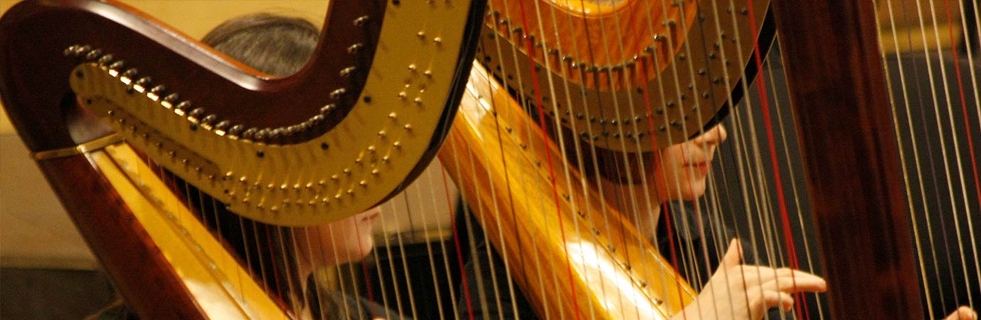 Harp Lessons in our Music School