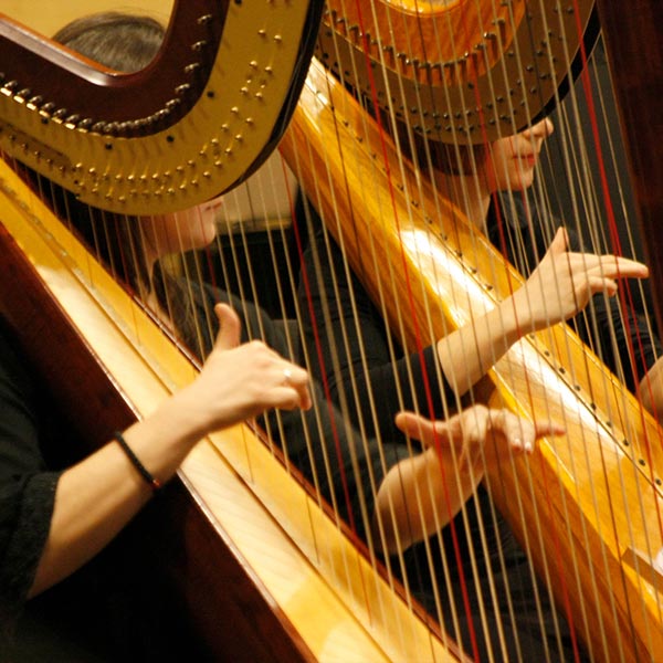 Harp Lessons in  Music School