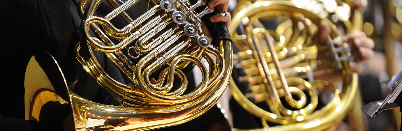 French Horn Lessons in our Music School