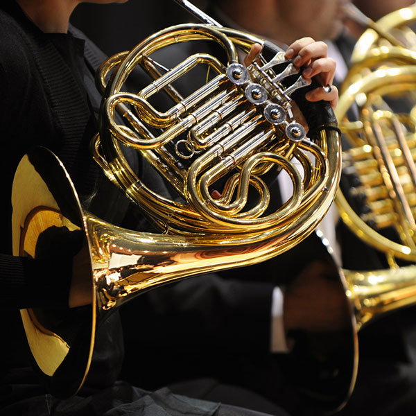 French Horn Lessons in  Music School