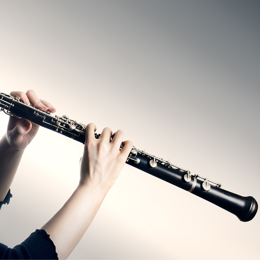 Oboe Lessons in  Music School