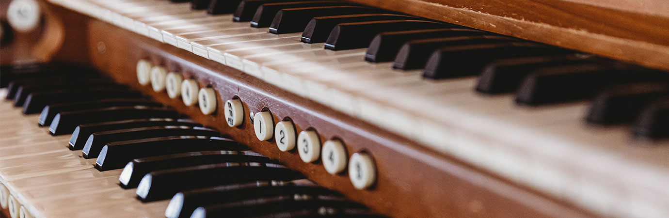 Organ Lessons in our Music School