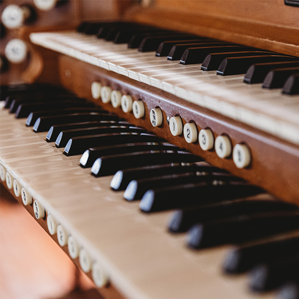 Organ Lessons in  Music School