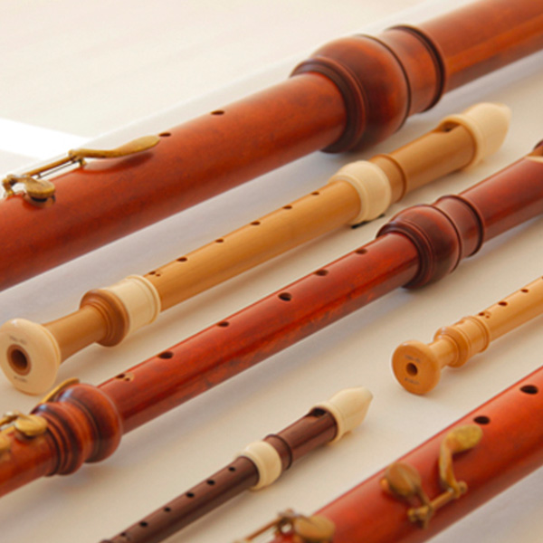 Recorder (Flute à bec) Lessons in  Music School