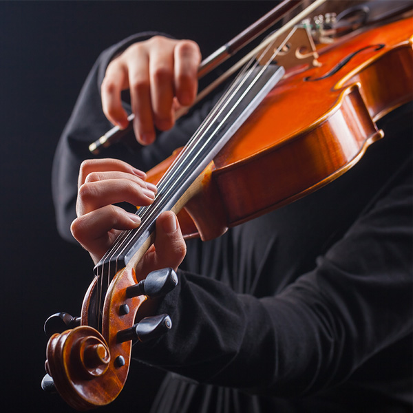 Viola Lessons in  Music School